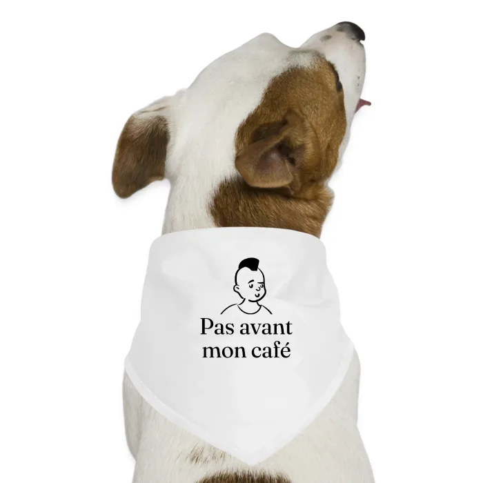 Bandana pour chien personnalisé au prénom, cadeau drôle