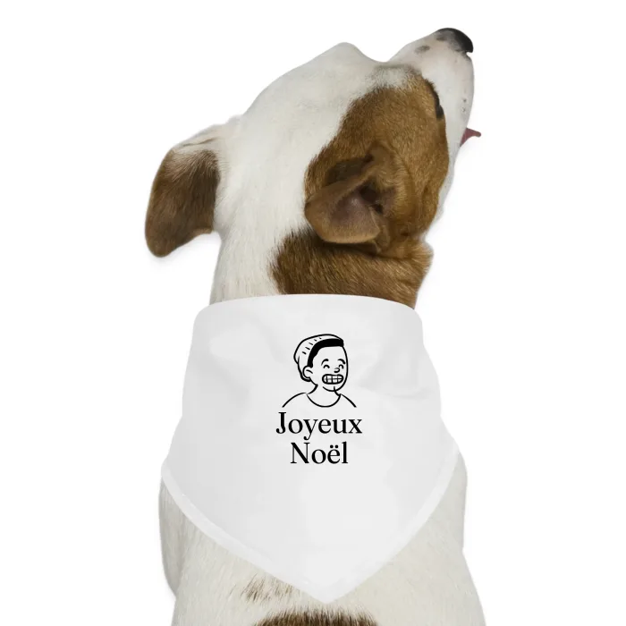 Bandana pour chien personnalisé au prénom, cadeau pour Noël