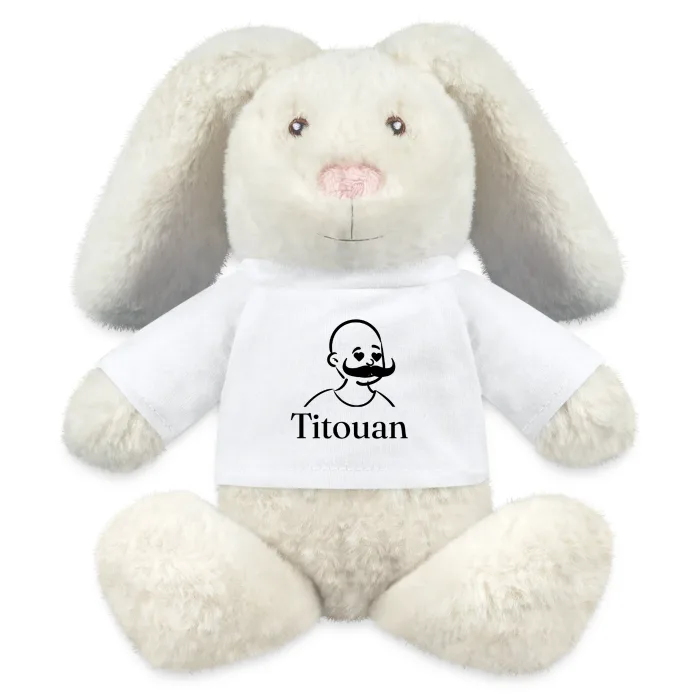 Peluche lapin personnalisée au prénom Titouan